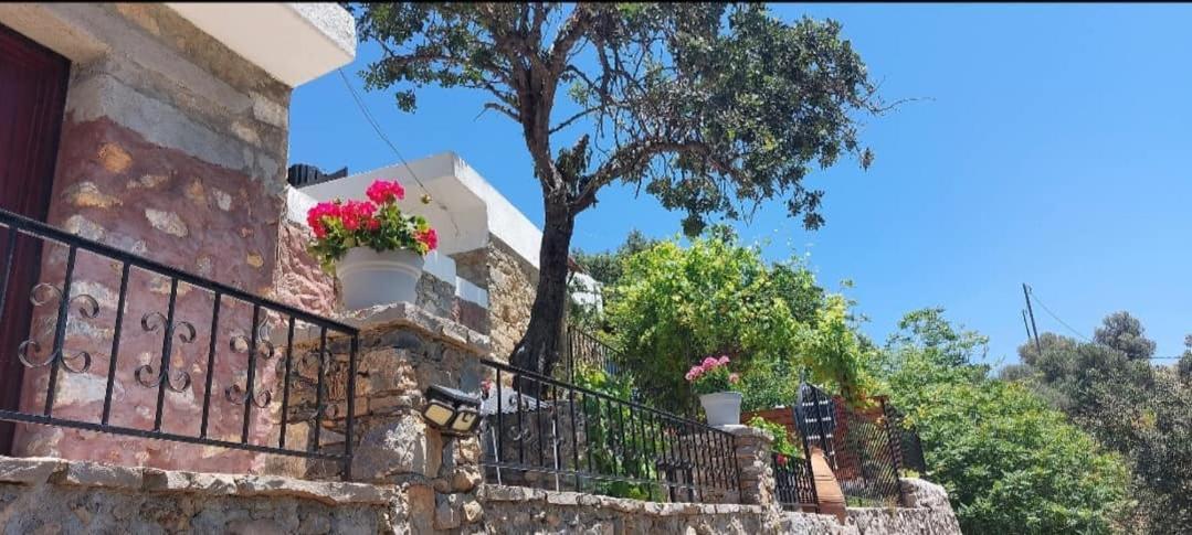 Villa Sarichel Nikithianos Exterior photo